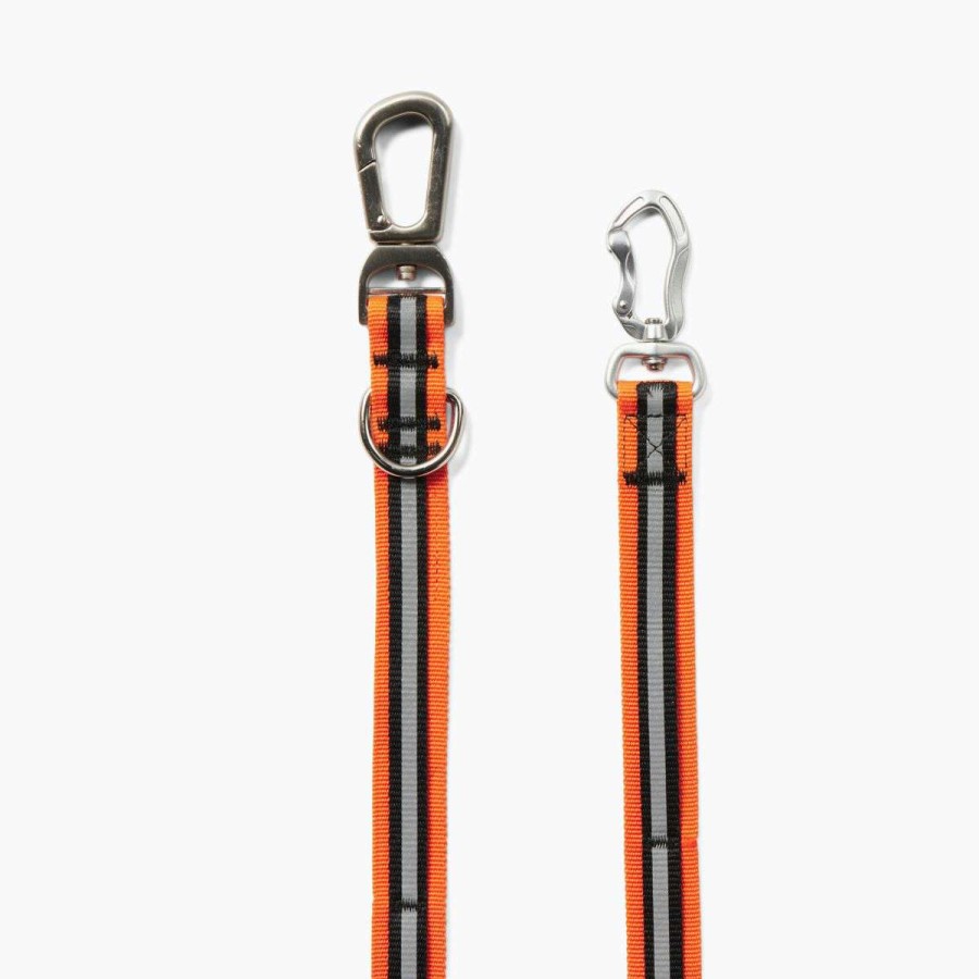 Accessories * | Sales Online Hands Free Dog Leash